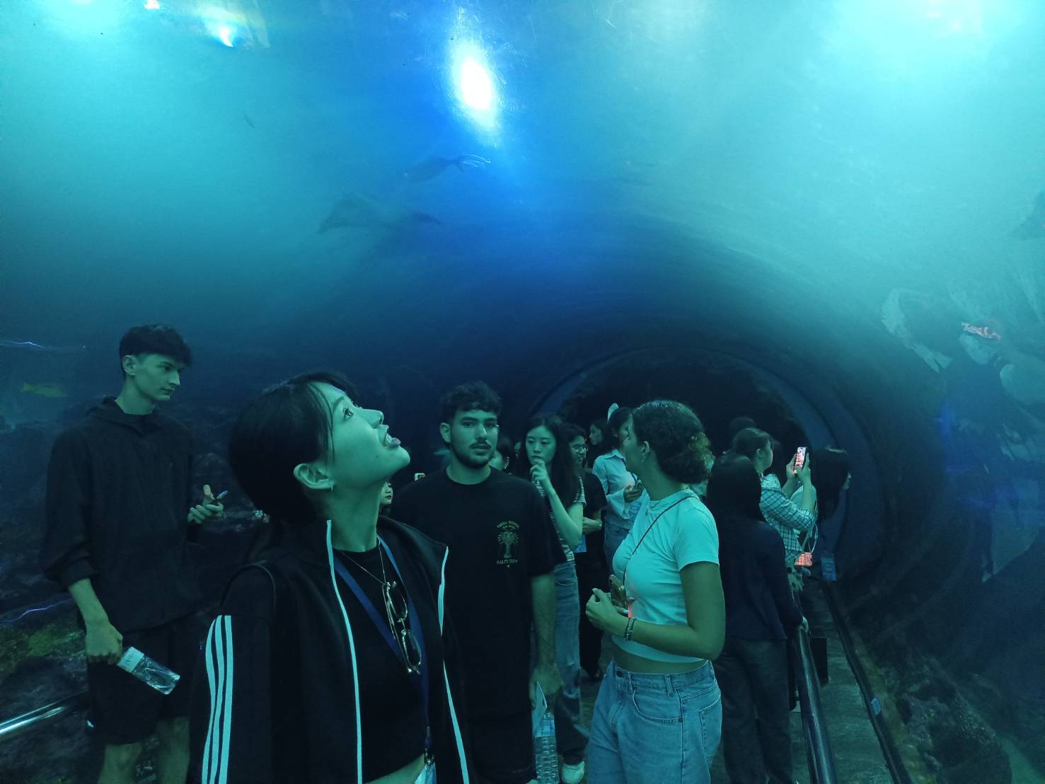 International students walking through an underwater tunnel